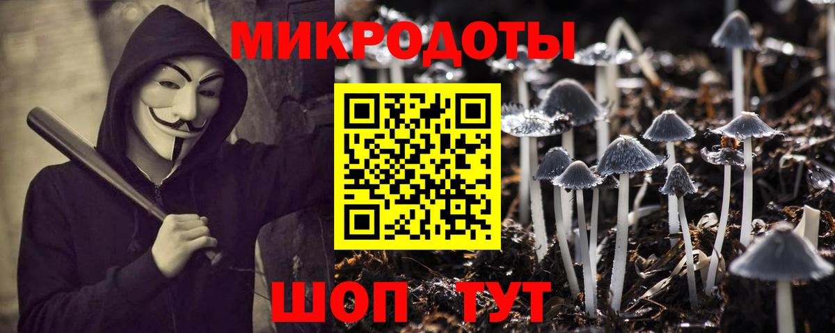 Гатчина  Псилоцибиновые грибы Psilocybine cubensis  Галлюциногенные грибы Cubensis  Вход с VPN 